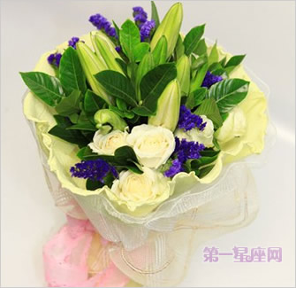 雪山玫瑰花语,送雪山玫瑰有哪些寓意?