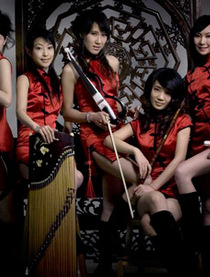 音乐猫的英文名