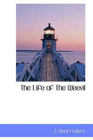 The Life of The Weevil