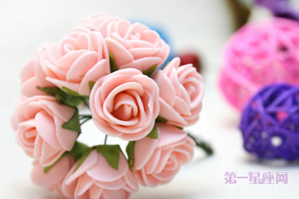 节日花语：拜年送什么花？