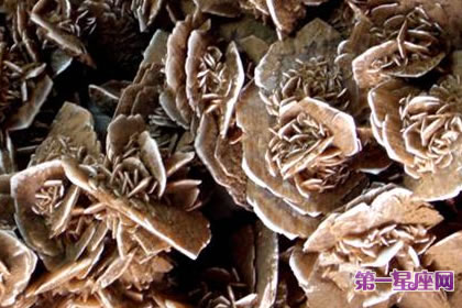 6月30日花语:石玫瑰,生日花语普遍